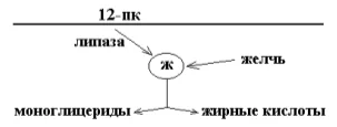 Иллюстрация к ответу