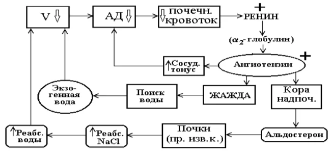 Иллюстрация к ответу