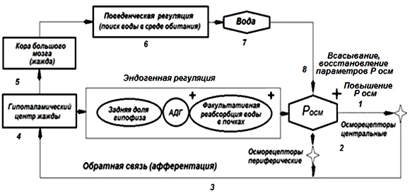 Иллюстрация к ответу