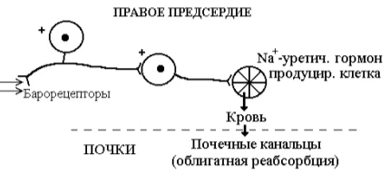 Иллюстрация к ответу