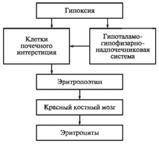 Иллюстрация к ответу