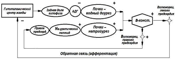 Иллюстрация к ответу