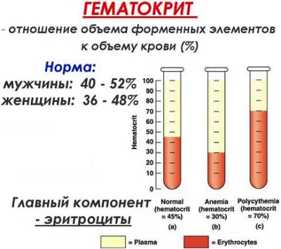 Иллюстрация к ответу