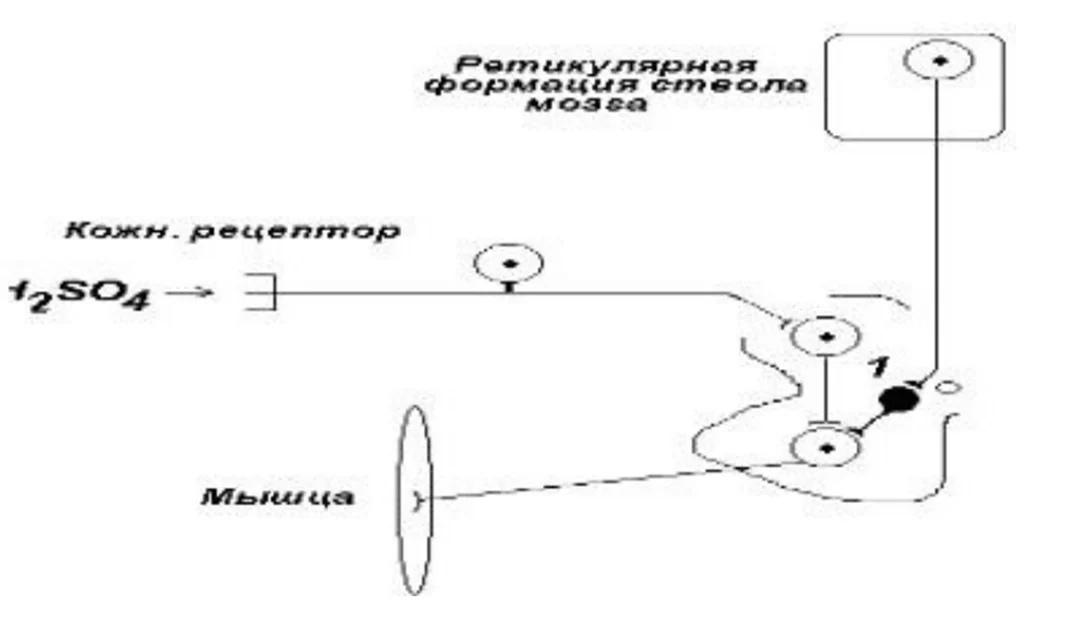 Иллюстрация к ответу