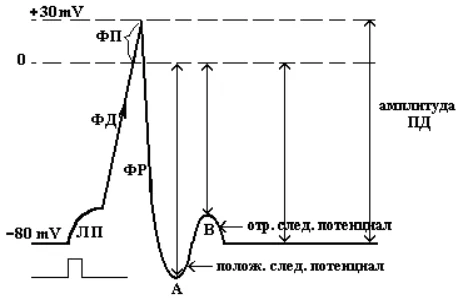 Иллюстрация к ответу