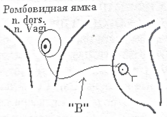 Иллюстрация к ответу
