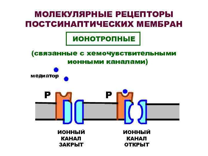 Иллюстрация к ответу
