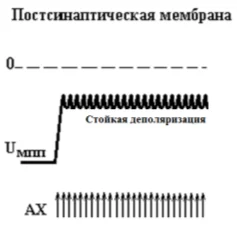 Иллюстрация к ответу