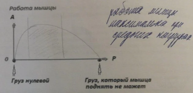 Иллюстрация к ответу