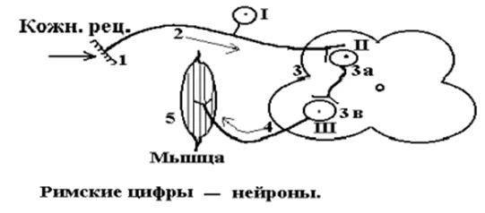 Иллюстрация к ответу