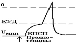 Иллюстрация к ответу