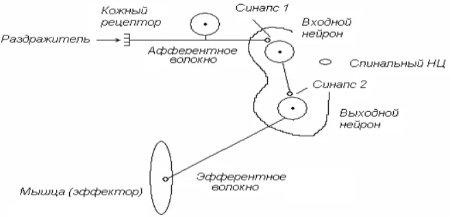 Иллюстрация к ответу