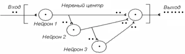 Иллюстрация к ответу