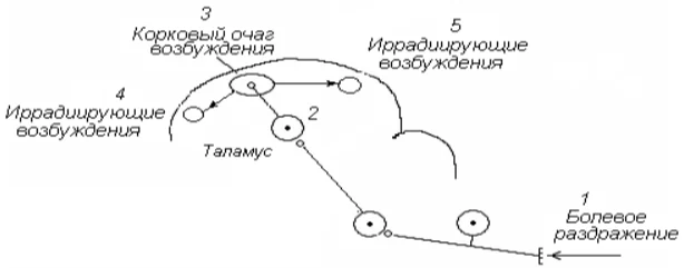 Иллюстрация к ответу