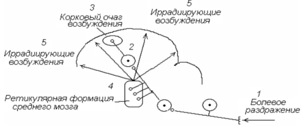 Иллюстрация к ответу