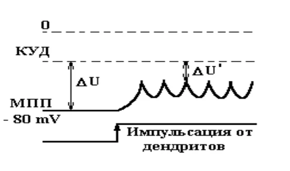 Иллюстрация к ответу