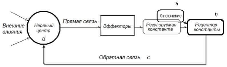 Иллюстрация к ответу