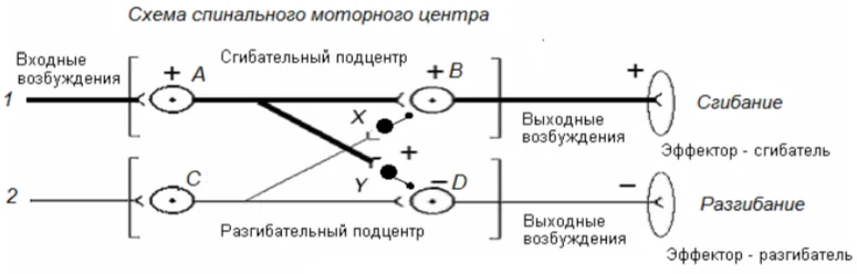 Иллюстрация к ответу
