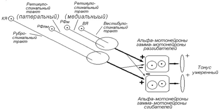 Иллюстрация к ответу