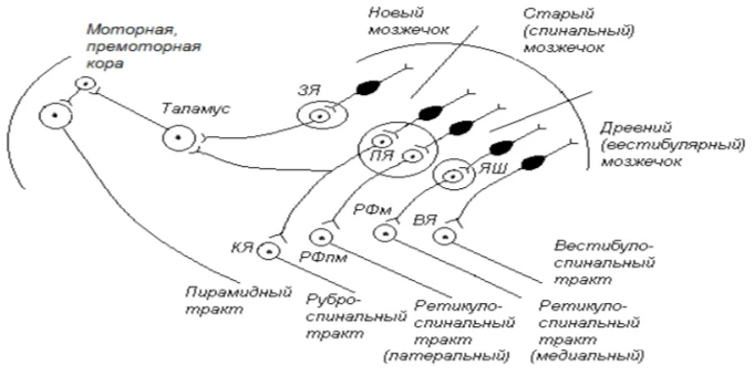 Иллюстрация к ответу