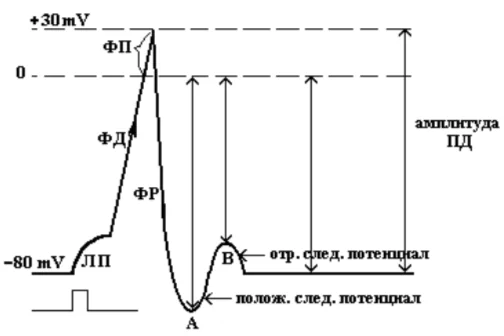 Иллюстрация к ответу
