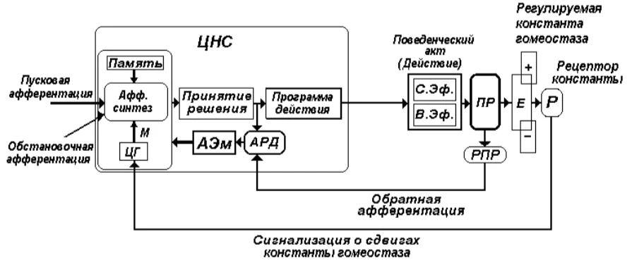 Иллюстрация к ответу