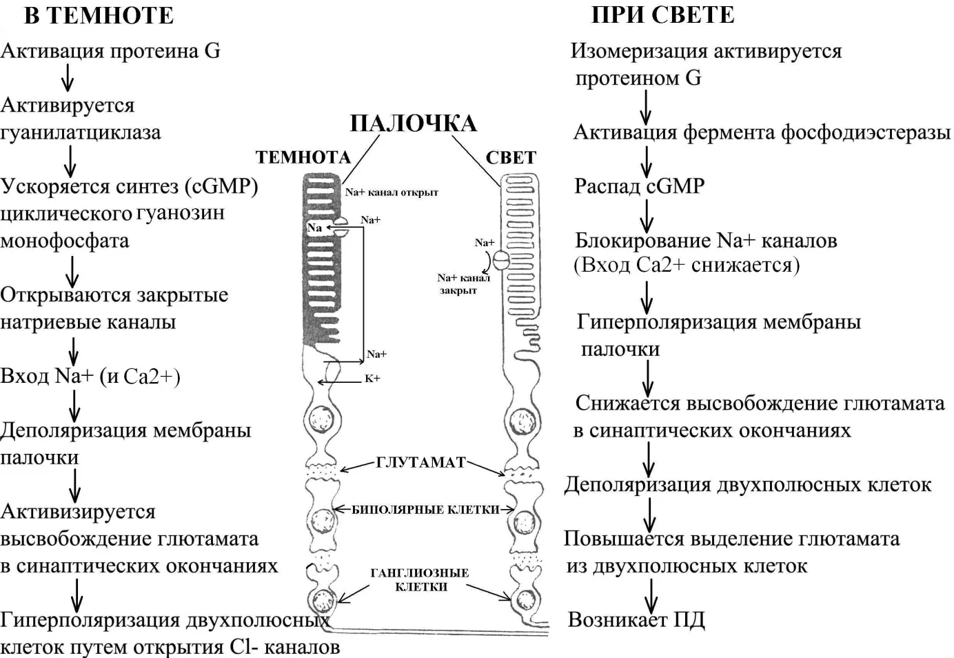Иллюстрация к ответу